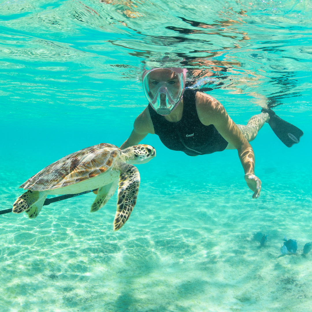 FULL FACE MASKI & SNORKKELI