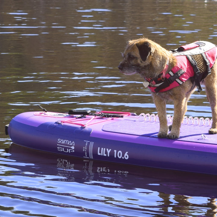 Saimaa SUP Lily 2026 (320 x 81 cm) -  Koko perheen SUP-lauta