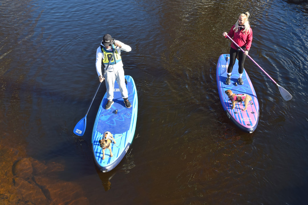 Saimaa Sup Bass 11.0 Purple 2025
